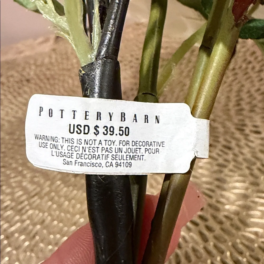 Pottery Barn pottery barn